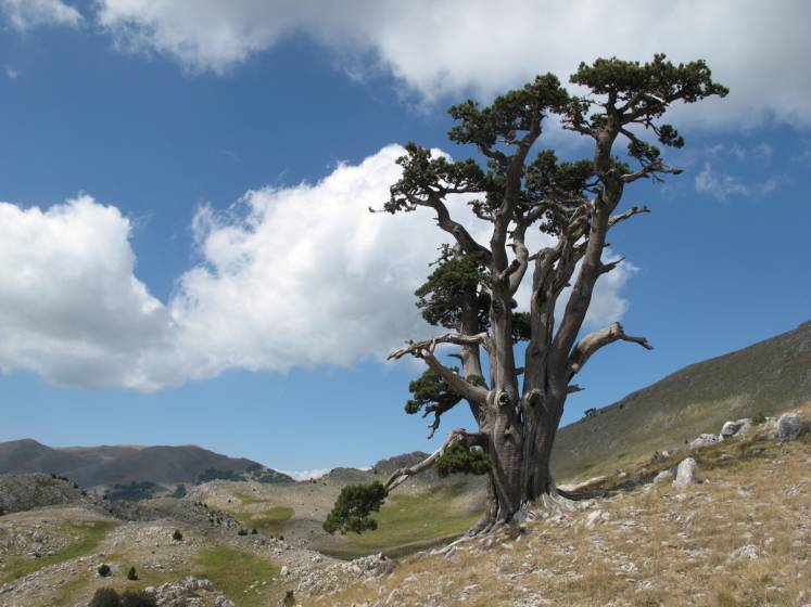 Trekking sul pollino